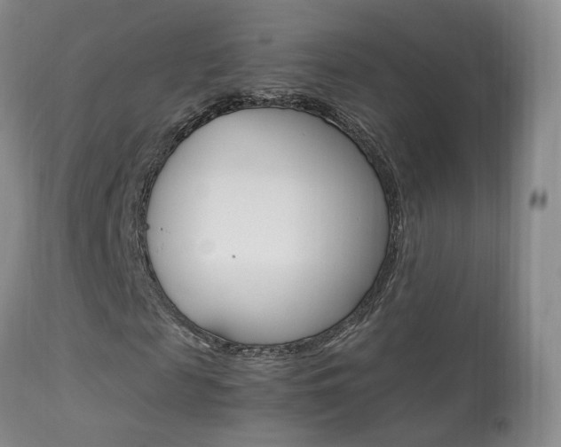 X0000113950817200909251001