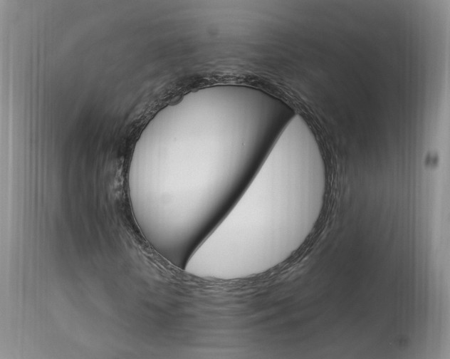 X0000113950818200909251001