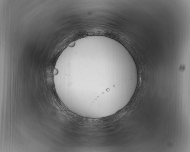 X0000113950819200909251001