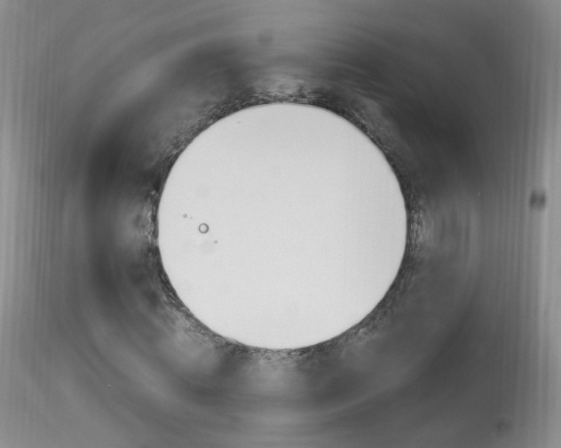 X0000113950820200909251001