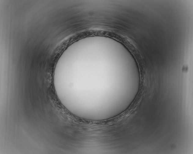 X0000113950821200909251001