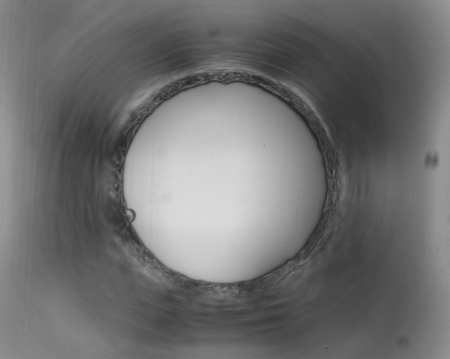 X0000113950823200909251001