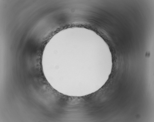 X0000113950824200909251001