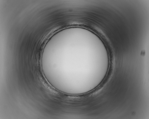 X0000113950825200909251001