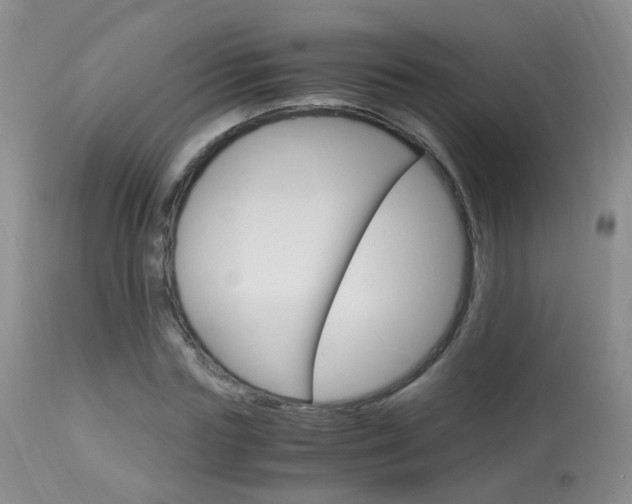 X0000113950827200909251001
