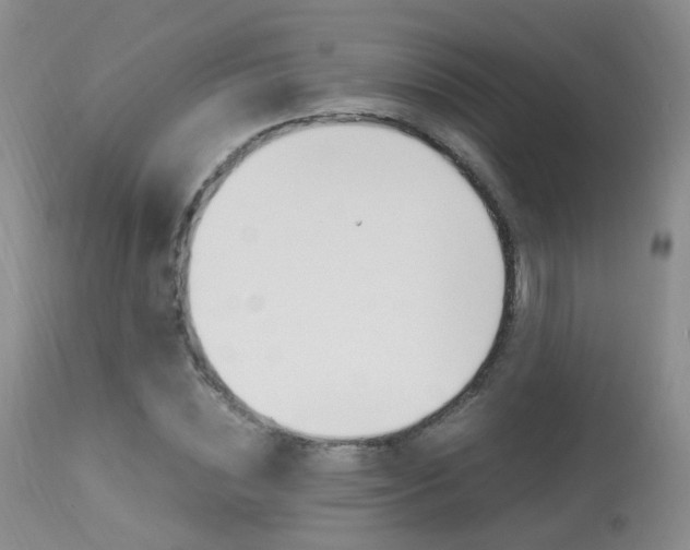X0000113950828200909251001