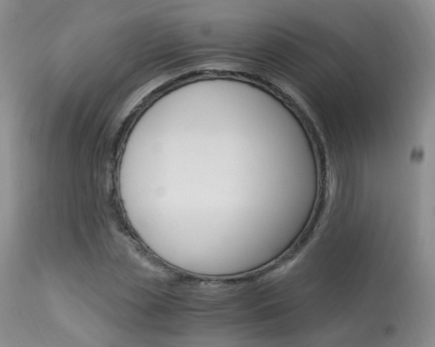 X0000113950829200909251001