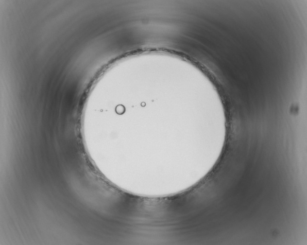 X0000113950832200909251001