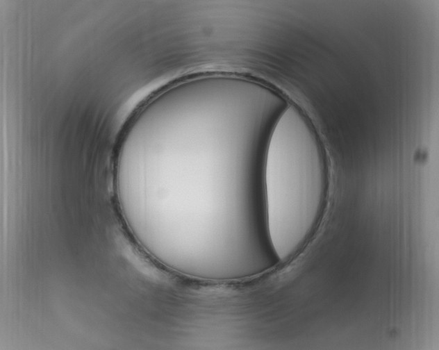 X0000113950838200909251001
