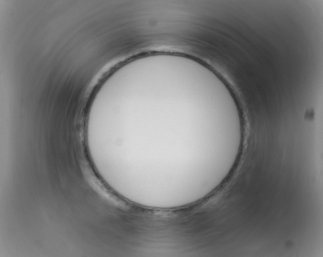 X0000113950848200909251001