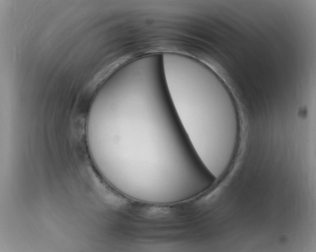 X0000113950849200909251001