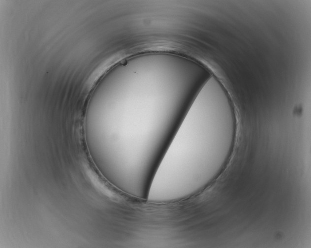 X0000113950850200909251001