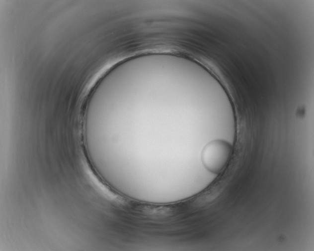 X0000113950851200909251001