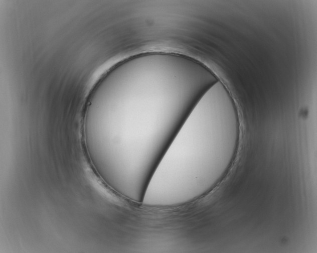 X0000113950854200909251001