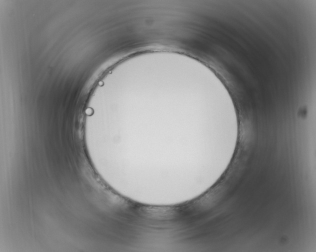 X0000113950856200909251001