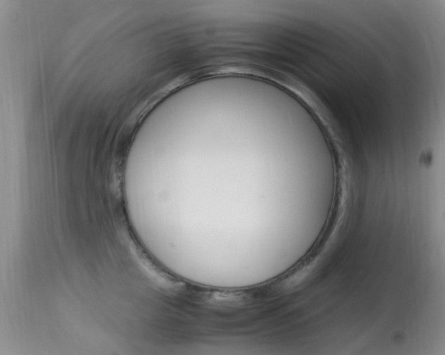 X0000113950857200909251001