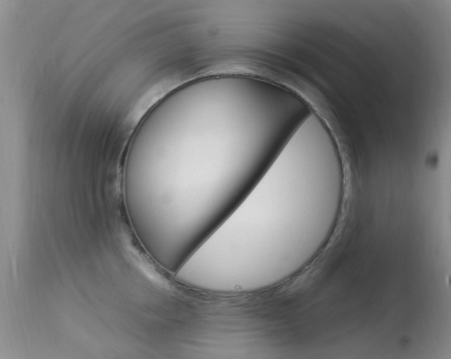 X0000113950858200909251001