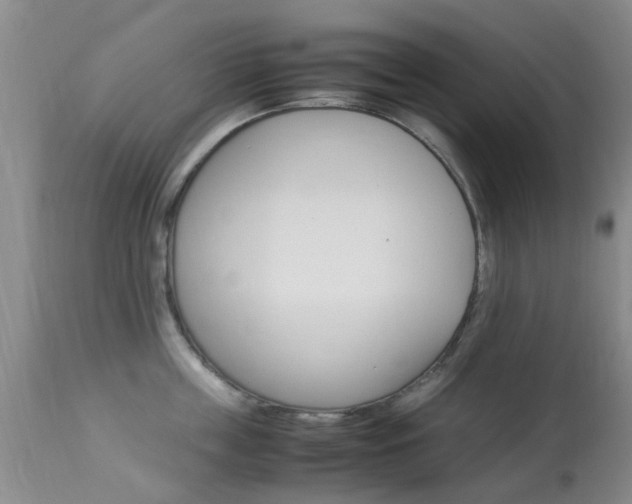 X0000113950859200909251001