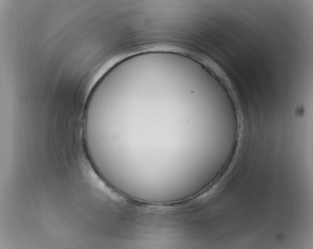 X0000113950860200909251001
