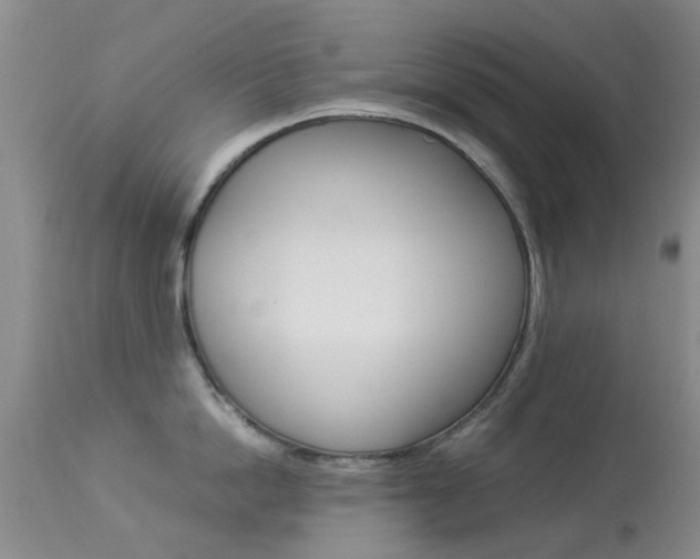X0000113950862200909251001