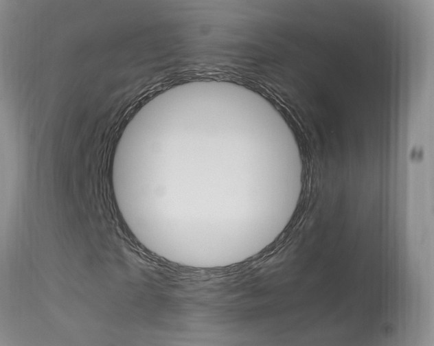 X0000113950865200909251001