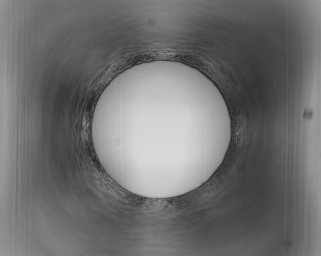 X0000113950866200909251001