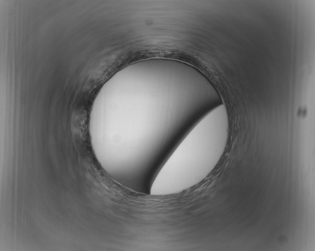 X0000113950867200909251001