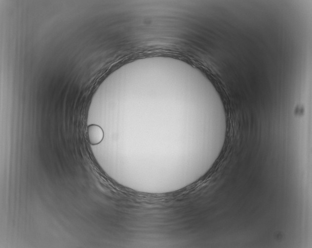 X0000113950868200909251001