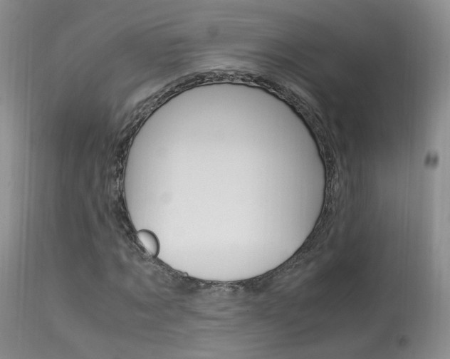 X0000113950869200909251001