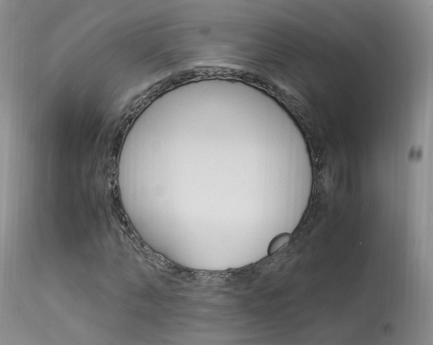 X0000113950870200909251001