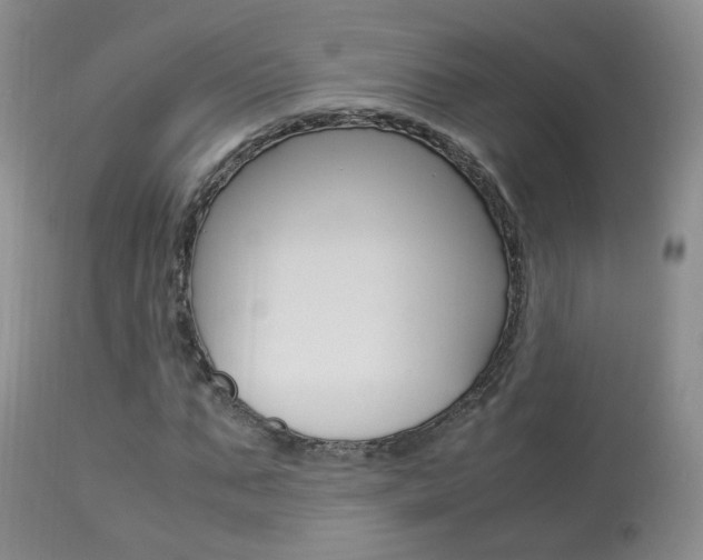 X0000113950871200909251001