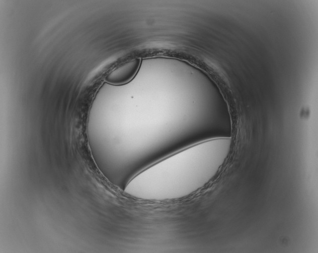 X0000113950872200909251001