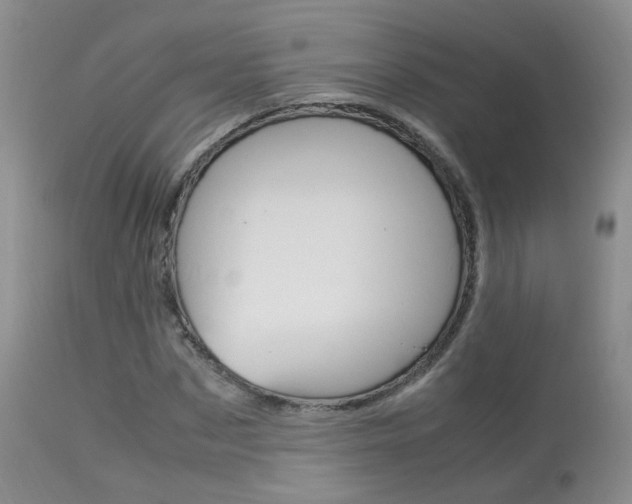 X0000113950873200909251001