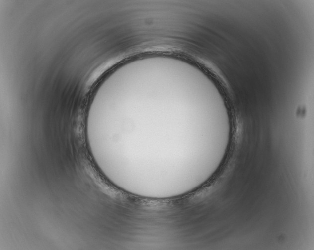 X0000113950874200909251001