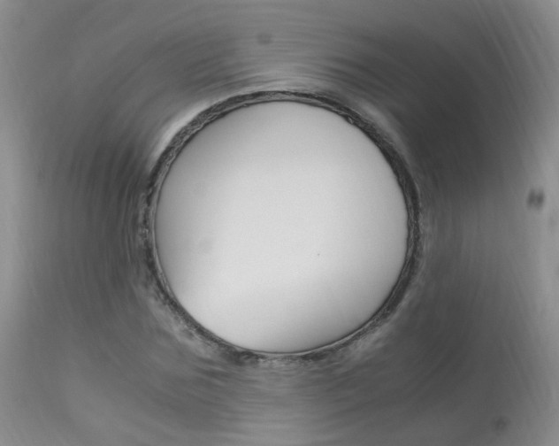 X0000113950875200909251001