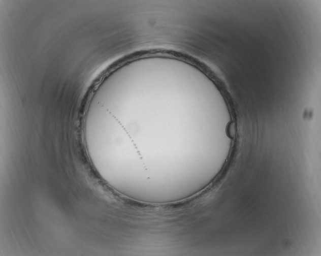 X0000113950879200909251001