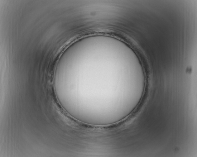 X0000113950881200909251001