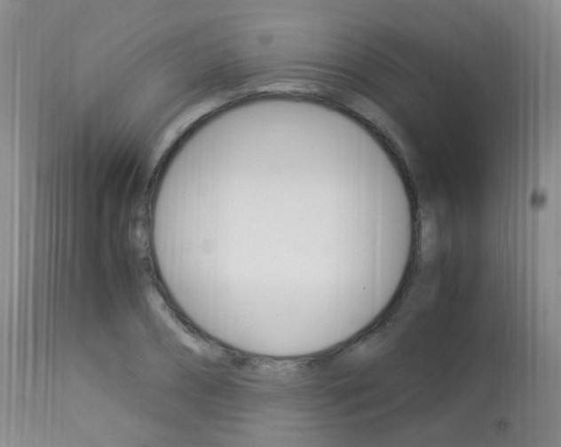 X0000113950882200909251001