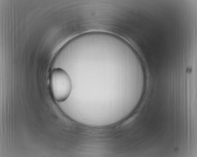 X0000113950885200909251000