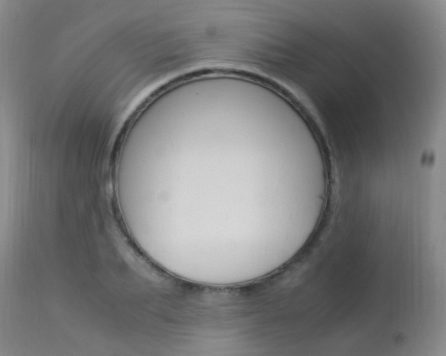 X0000113950887200909251000