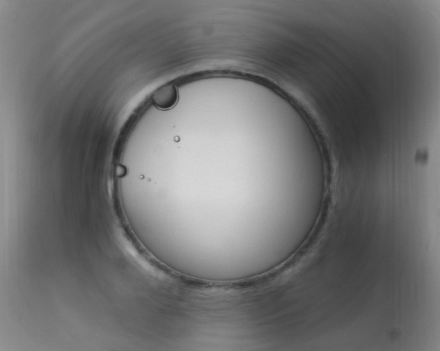 X0000113950888200909251000
