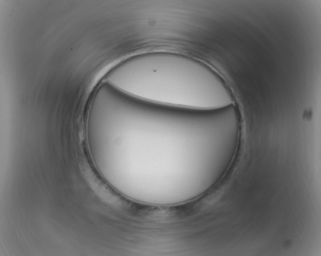 X0000113950891200909251000