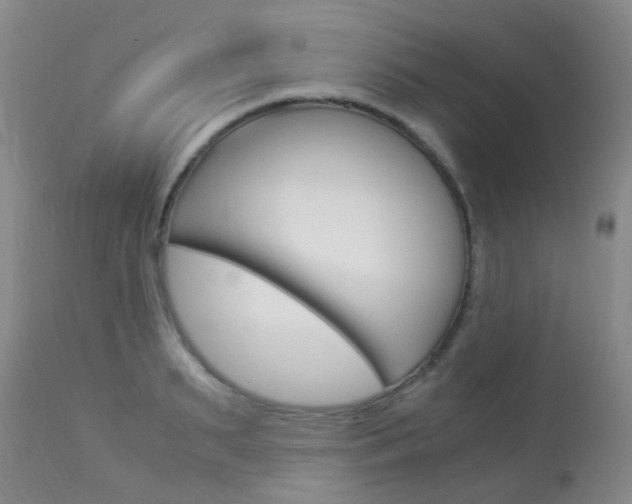 X0000113950895200909251000