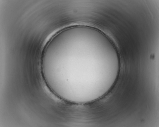X0000113950896200909251000