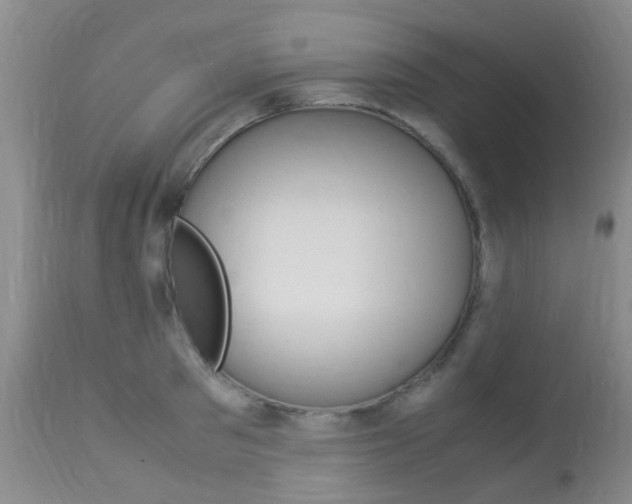 X0000113950897200909251000