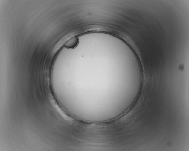 X0000113950898200909251000