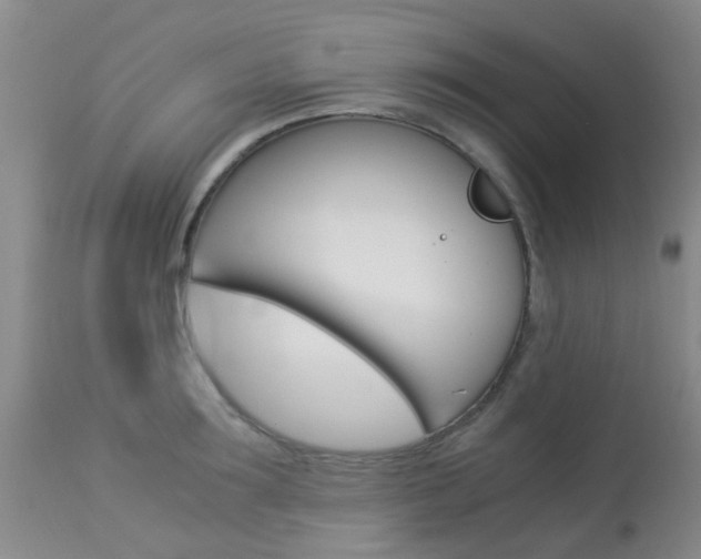 X0000113950899200909251000
