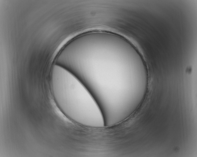 X0000113950903200909251000