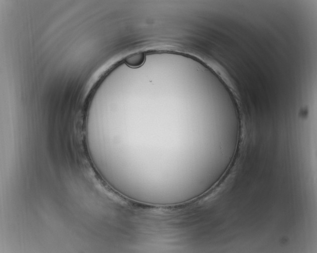 X0000113950904200909251000