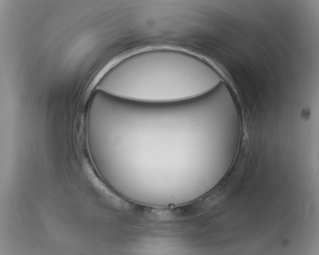 X0000113950911200909251000